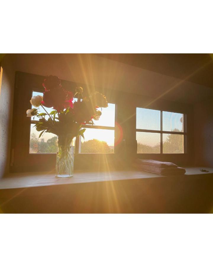 Brivdienu Maja Ezerkalni Dzirciems ภายนอก รูปภาพ