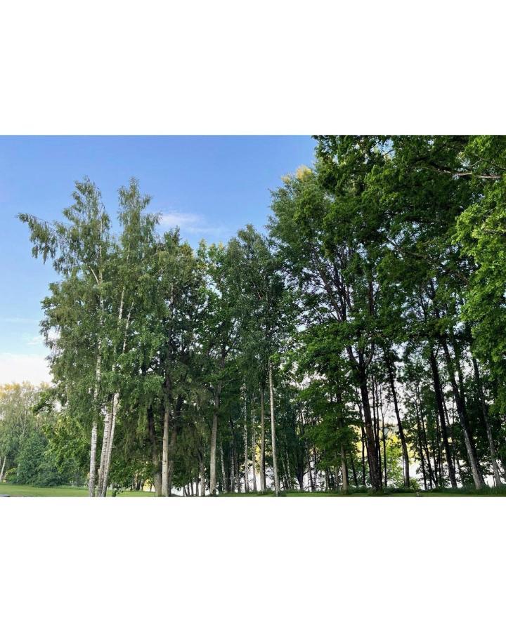 Brivdienu Maja Ezerkalni Dzirciems ภายนอก รูปภาพ